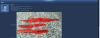 post-5860-0-44147200-1483738523_thumb.png