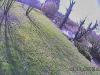 post-1187-0-11006000-1459013311_thumb.jpg
