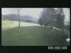 post-1187-0-68287400-1459013246_thumb.gif