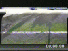post-1187-0-83433200-1459013262_thumb.gif