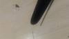 post-4317-0-07351100-1470226825_thumb.jpg