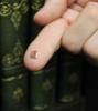 post-141-0-91888900-1447839668_thumb.jpeg