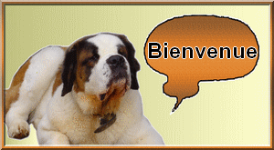 image.png.67a80f873d02d269ac3eb48877619d4a.png