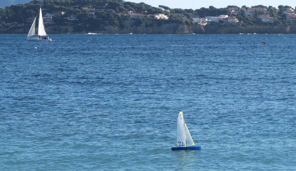 DSCF8708 - copie.jpg