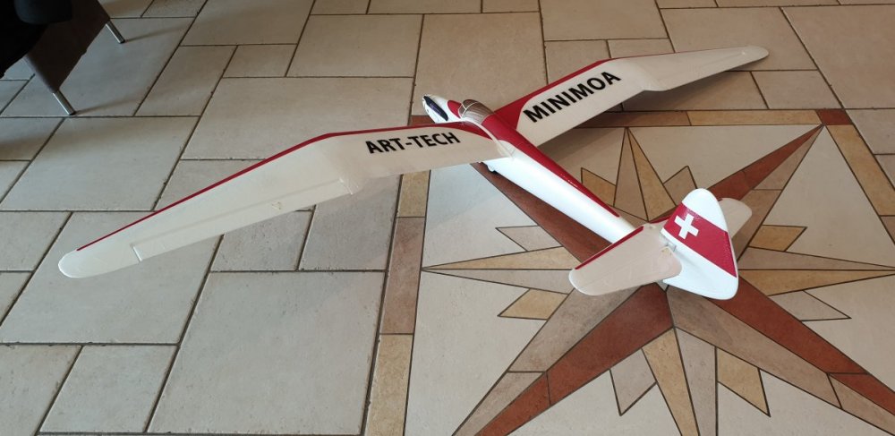 minimoa_1.jpg