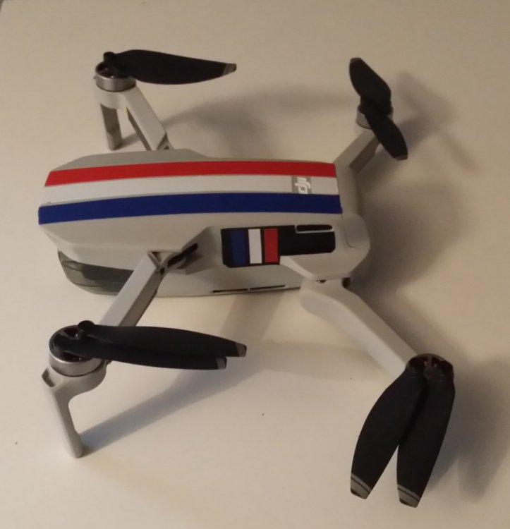 mavic mini police.jpg