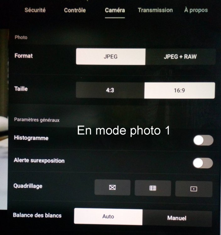 Menu photo haut.JPG